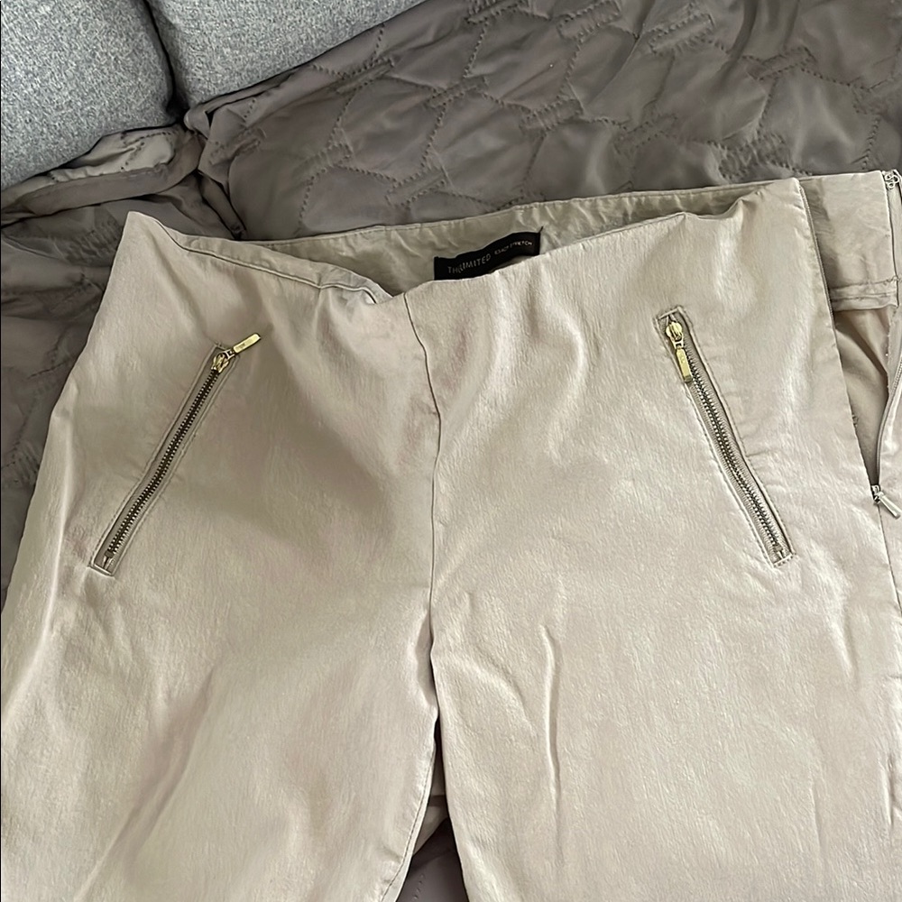 The Limited Light Gray Pants with Zipper Details